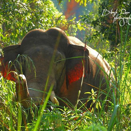 Mr. B'S Place Bardiya Bagian luar foto
