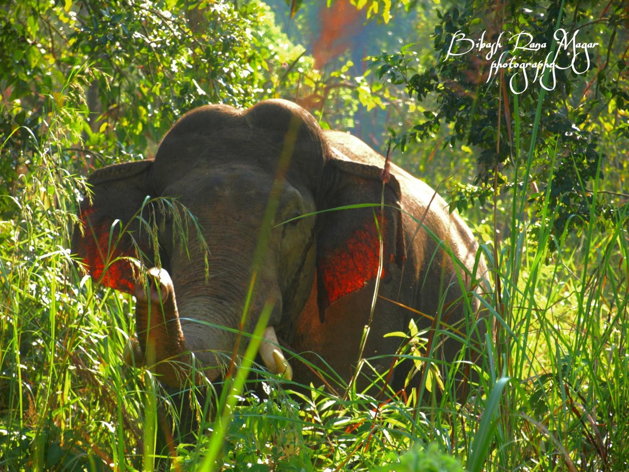 Mr. B'S Place Bardiya Bagian luar foto