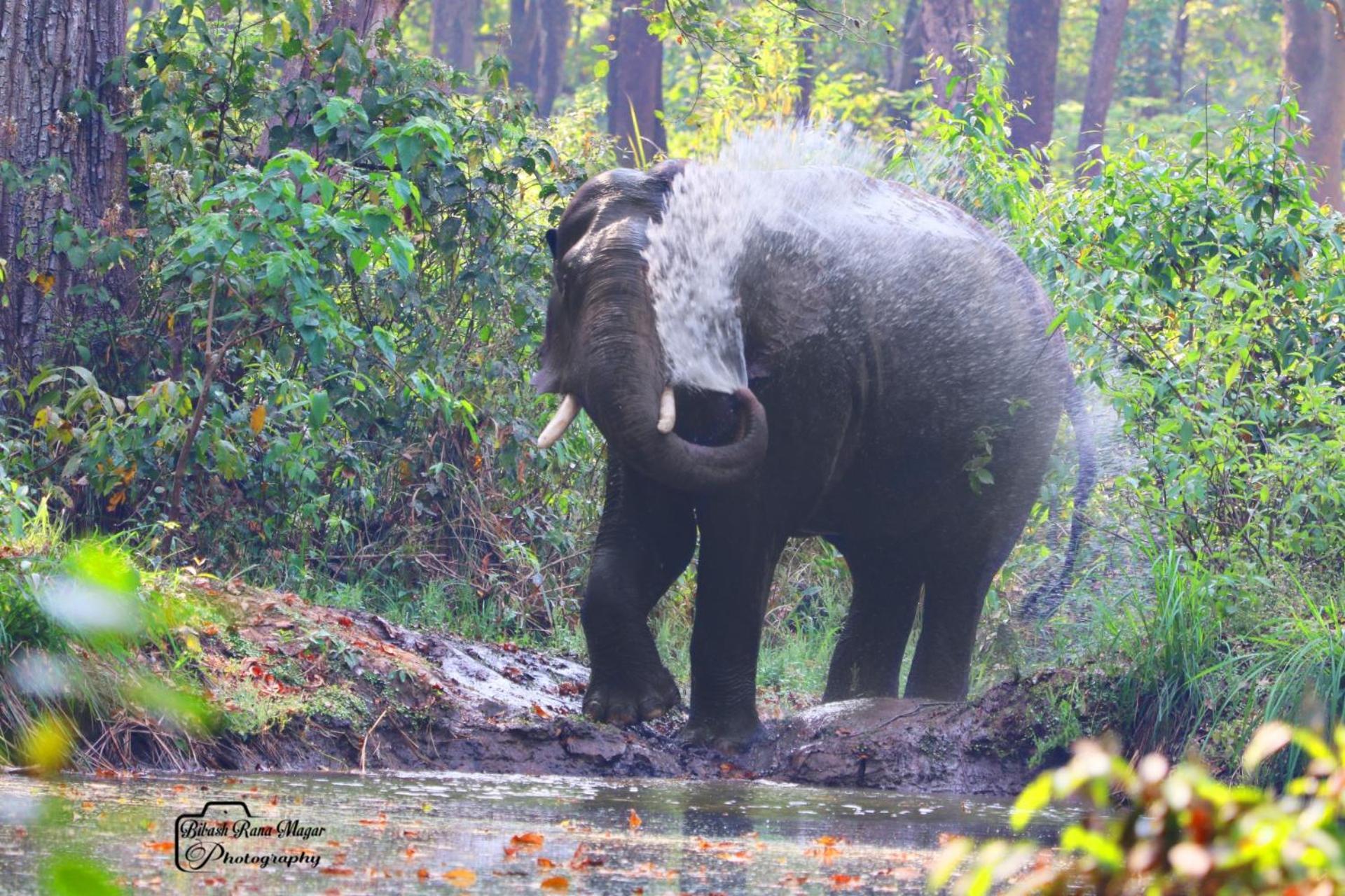Mr. B'S Place Bardiya Bagian luar foto